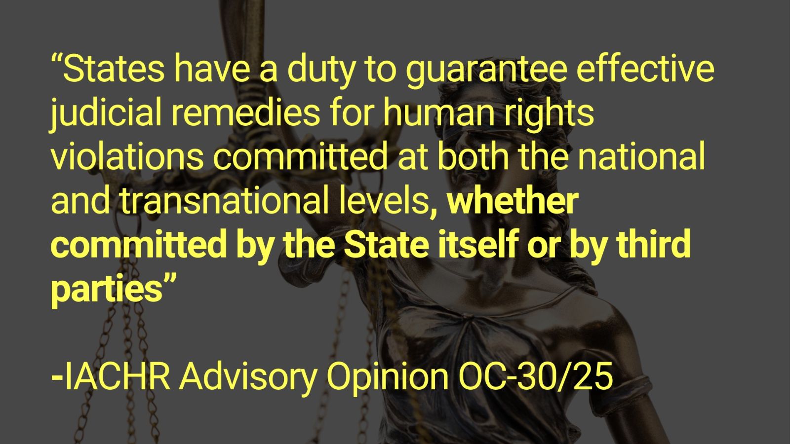 %E2%80%9CStates%20have%20a%20duty%20to%20guarantee%20effective%20judicial%20remedies%20for%20human%20rights%20violations%20committed%20at%20both%20the%20national%20and%20transnational%20levels%2C%20whether%20committed%20by%20the%20State%20itself%20or%20by%20third%20%20(1).jpg